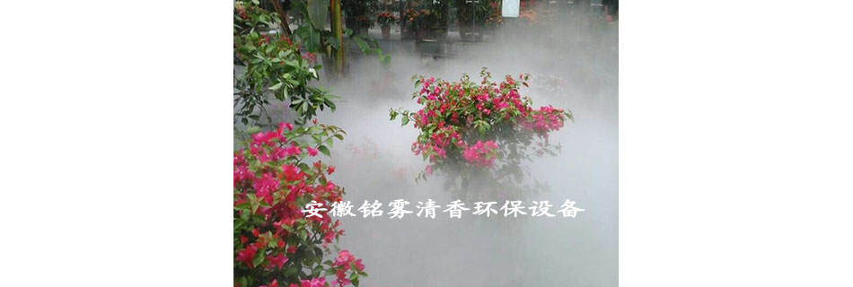 上海动物园 园内造景-已竣工(图2)