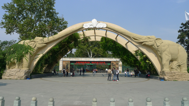 上海动物园 园内造景-已竣工(图1)